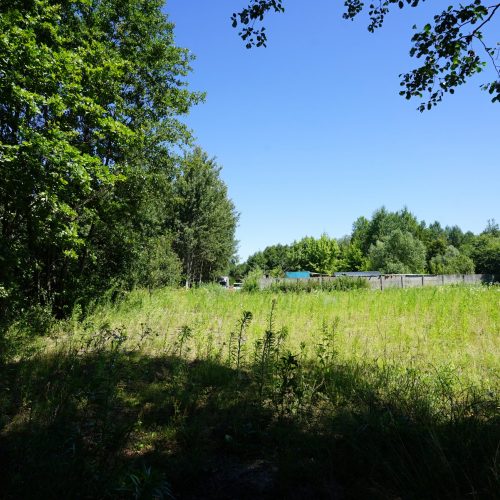 DSC09886