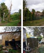 Zrzut ekranu_2-6-2026_19575_