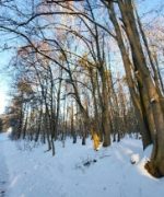 Zrzut ekranu_26-3-2026_152429_