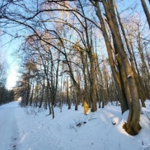 Zrzut ekranu_26-3-2026_152429_