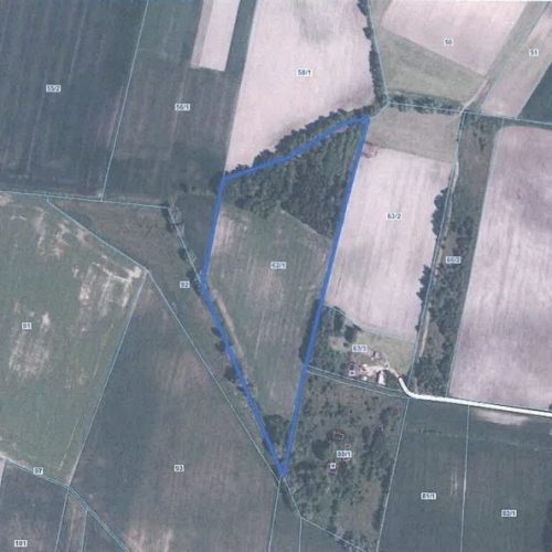 Zrzut ekranu_27-5-2025_135329_ Zrzut ekranu_27-5-2025_135329_